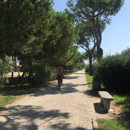Casa Ilona Διαμέρισμα Pineto Εξωτερικό φωτογραφία